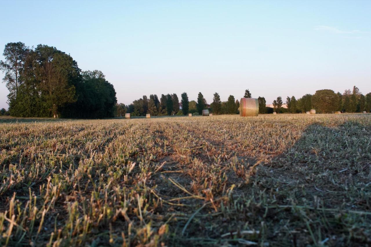 Il Gesuita Mantova Exteriér fotografie