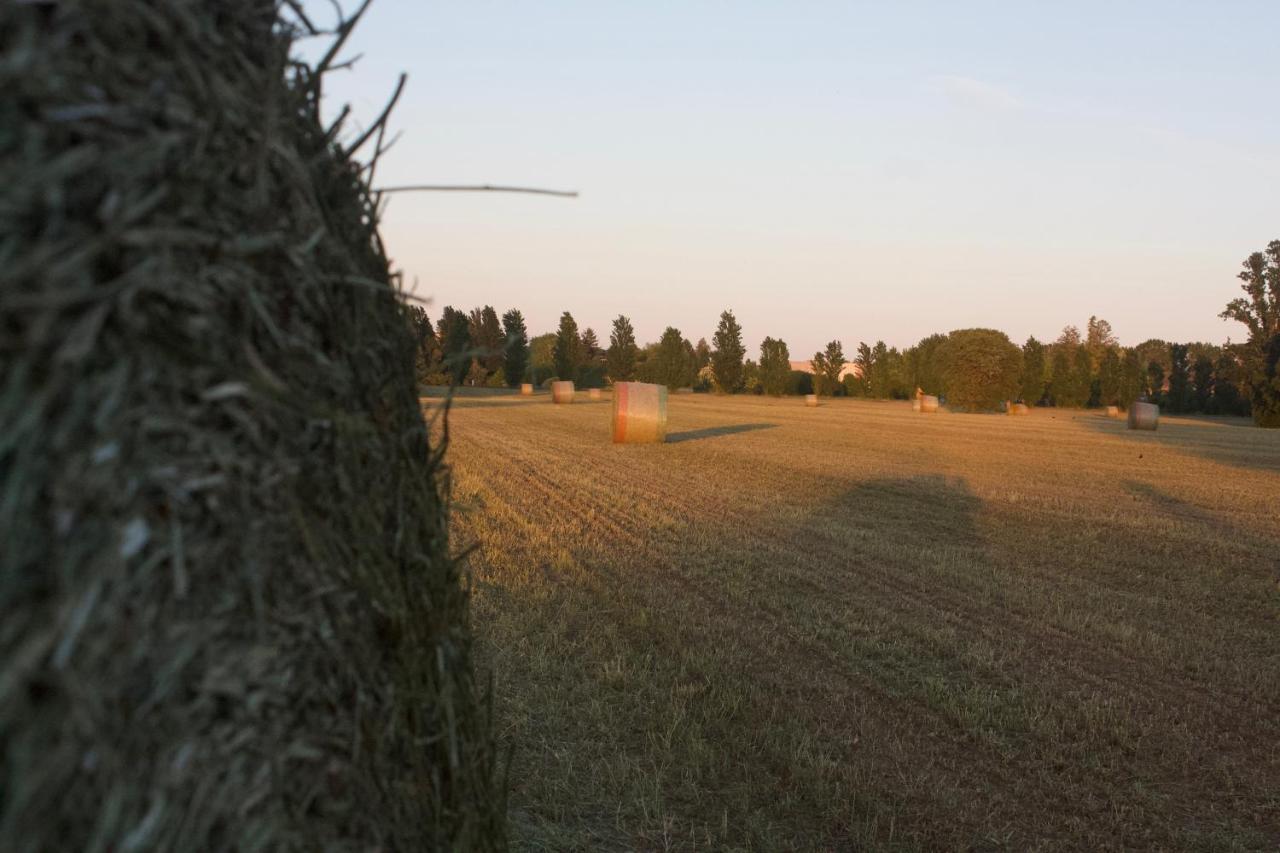 Il Gesuita Mantova Exteriér fotografie