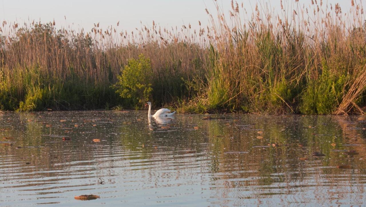 Il Gesuita Mantova Exteriér fotografie